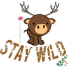 Stay Wild 