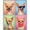 Hunde Chihuahua Hund