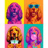 Hunde Cocker Spaniel Hund