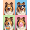 Hunde Collie Hund