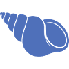 Blauer Meeresspirale Muschel