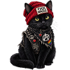 Fuck Nazis Schwarze Katze