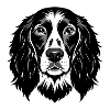 Englischer Springer-Spaniel