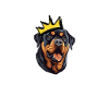 Rottweilerkönig Goldene Krone
