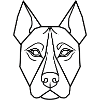 Hund Geometrie