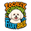 Bichon Frise