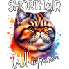 Exotische Kurzhaarkatze Flüsterer