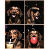 Hunde Dackel Hund