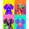 Hunde Dackel Hund