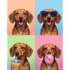 Hunde Dackel Hund