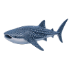 Walhai 