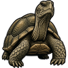 Stilisierte Landschildkröte