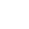 Älter als das Internet - Dino