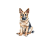 Porträt des Deutschen Schäferhundes