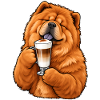 Chow Chow mit Latte Macchiato