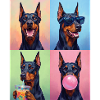 Hunde Dobermann Hund