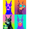 Hunde Dobermann Hund