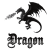 drachensilhouette, fantasy sprüche