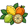 Citrus Cluster – Sunny Picnic Vibes