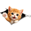 Süßes Kätzchen Reißverschluss Katze