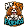 Kavallerier King Charles Spaniel