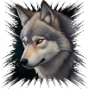 Wolfsblick Digitalporträt