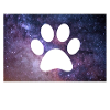 Pfote Universum Geschenkidee für Hundebesitzer 