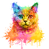 Britisch Kurzhaar Regenbogen Aquarell Illustration