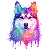 Siberian Husky Aquarell Illustration