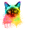 Siamkatze Regenbogen Aquarell Illustration