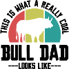 Stier Spruch Retro Style