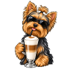 Yorkshire Terrier mit Latte Macchiato
