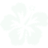 Hibiskus Tropenprint