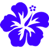 Hibiskus Silhouette Blüte