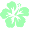 Mint Hibiskus Silhouette