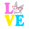 Boston Terrier