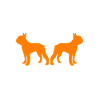 Boston Terrier
