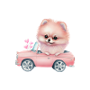 Pomeranian Cabrio Schlafshirt