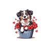 Aussie-Welpen-Eimerherzen
