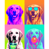 Hunde Golden Retriever Hund