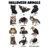 Halloween Tierdiagramm Schwarze Katze Fledermaus