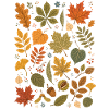 Herbstblätter | Natur & Wald