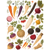 Wurzelgemüse | Garten & Ernte