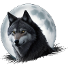 Mondlichtwolf im Mondschein