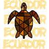 Geometrische Schildkröte Ecuador