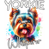 Yorkshire Terrier Flüsterer