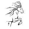 Tölter Outline