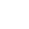 Tolter_Outline_Weiss