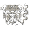 Bulldogge rauchende Zigarre