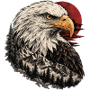 Wild Eagle